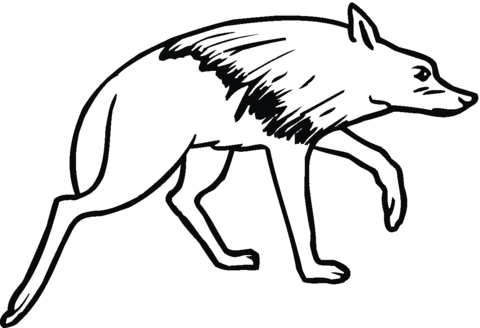 Brown Hyena Coloring Page